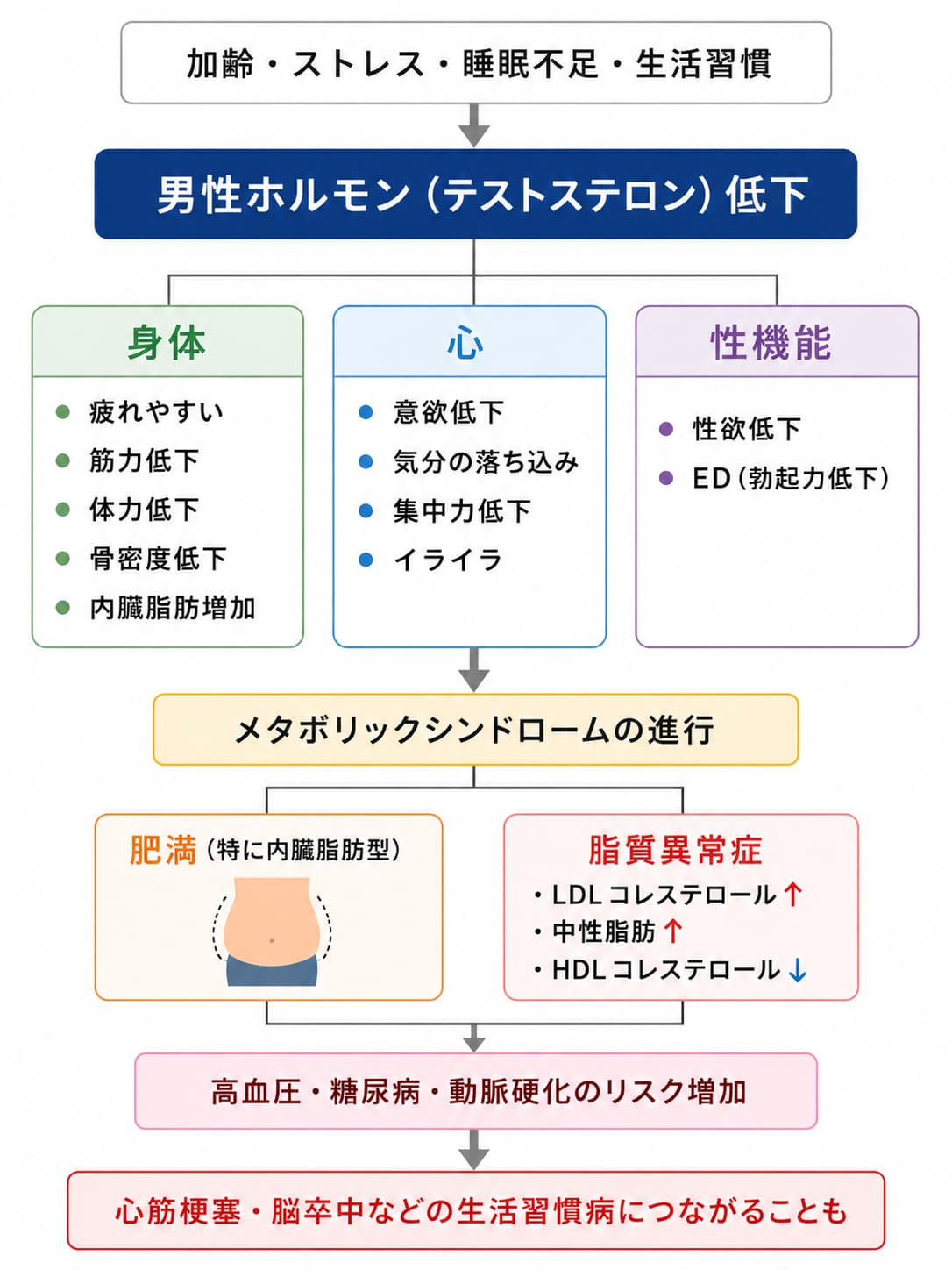 男性ホルモン（テストステロン）低下による影響のイメージ画像